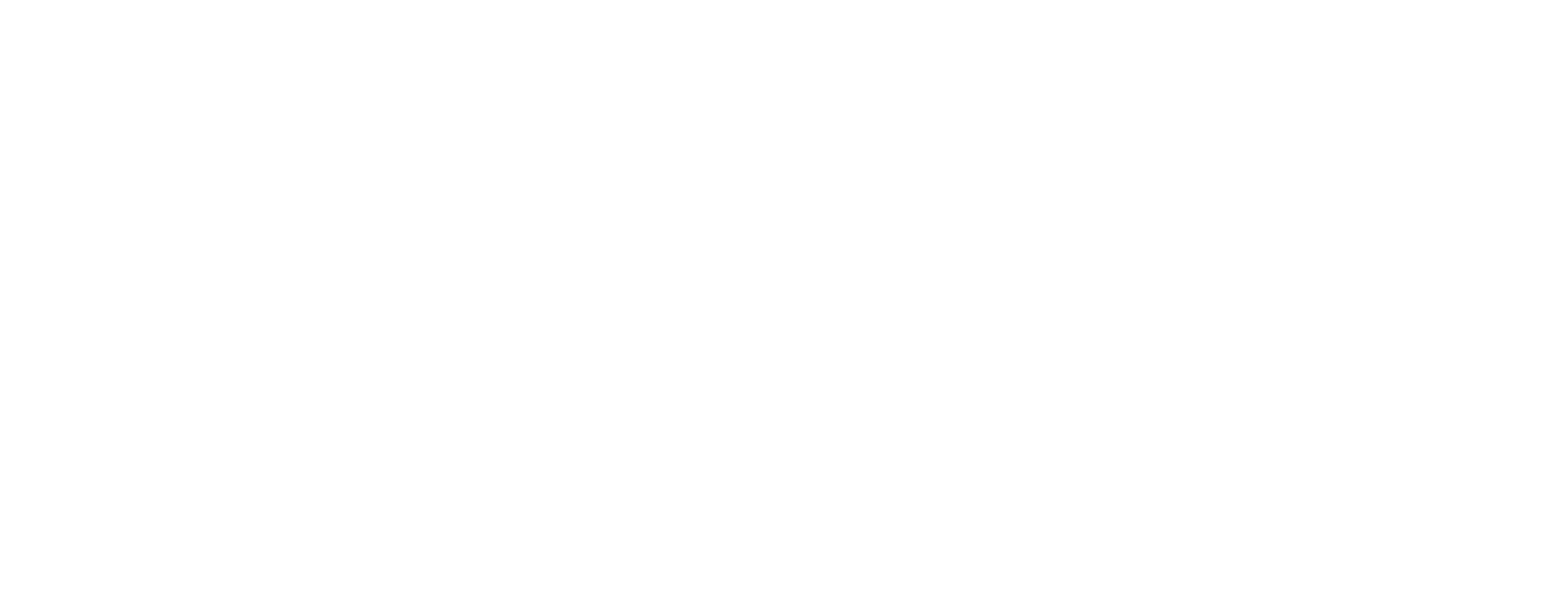 FERRETERIA SALZILLO Logo